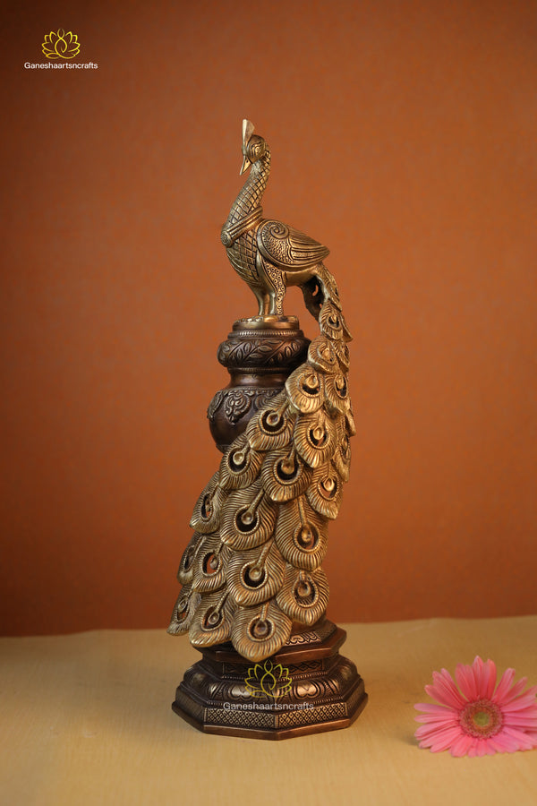 Pure Brass Peacock Idol Bronze N Gold Finished  Home & Office Decorative Showpiece Figurine